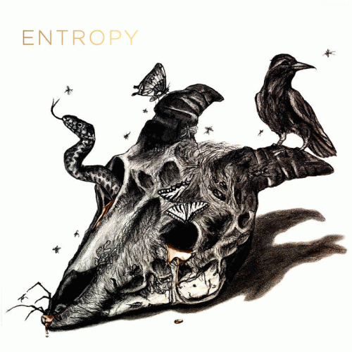 Entropy
